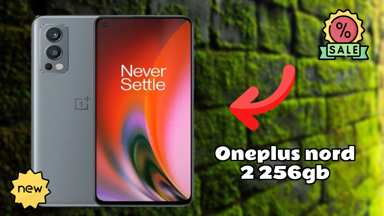 OnePlus Nord 2 256GB Camera Test: 50 MP + 8 MP + 2 MP Rear Camera Photo Quality